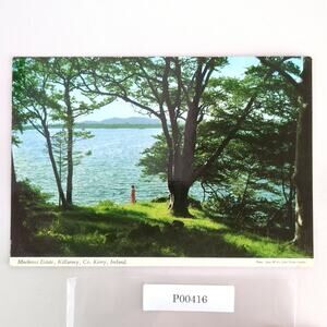 Muckross Estate, Killarney, Co Kerry Ireland John Hinde 1960s Postcard Lady